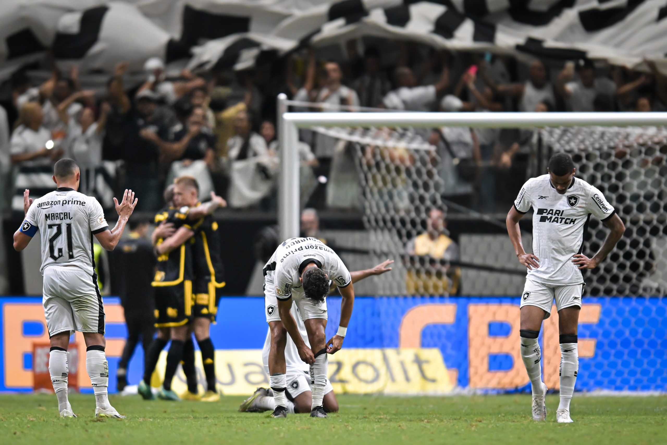 Mineiro venció a Botafogo y ganó Palmeiras